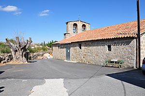 Church of  La Inmaculada and  dry field elm