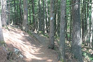 Indian Point Preserve Trail, Ellsworth, ME IMG 2357