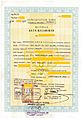 Indonesian Birth Certificate Issued in 1996