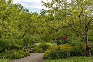 Inniswood - Patio 1