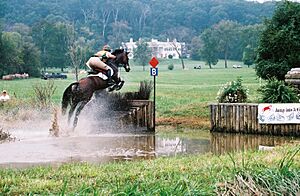 Journey Through Hallowed Ground Byway - Equestrian Event at Morven Park - NARA - 7719718