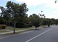 Karamea Avenue, Springfield, Queensland