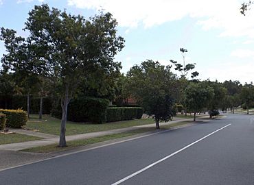 Karamea Avenue, Springfield, Queensland.jpg