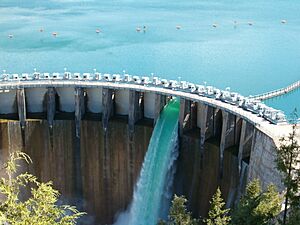 Kerr Dam