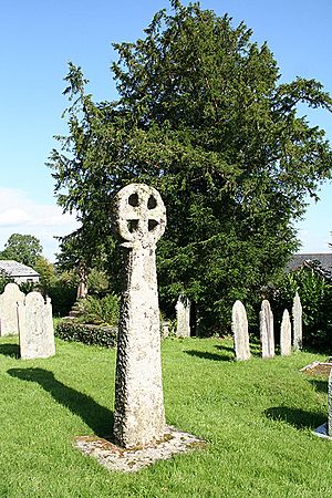 Laneast - Celtic cross and yew - geograph.org.uk - 511708