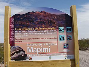 Mapimi Biosphere Reserve