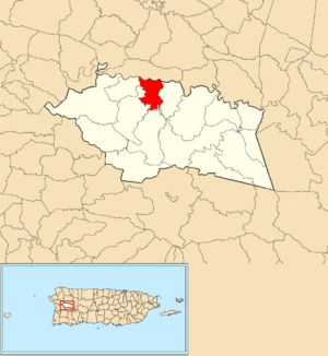 Location of Maravilla Norte within the municipality of Las Marías shown in red