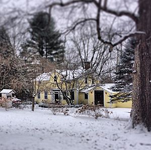 Miller's House at Red Mills (Bruyn House) Winter