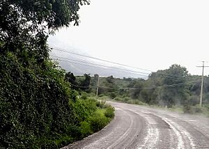 Misty road after rain