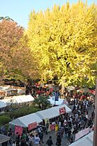 Mita Festival, Keio University - Nov 25, 2007 (1)