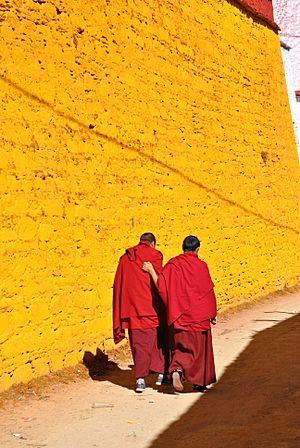Monks at Ganden monastery, 2013