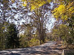 Mount-Nebo-road-and-scenery-2