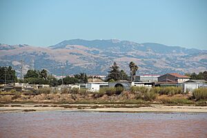Mt Hamilton from Alviso Marina County Park CA Aug 2019