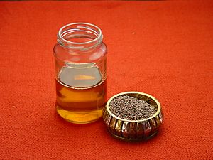 Mustard Oil & Seeds - Kolkata 2003-10-31 00537