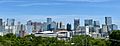 Nashville Skyline from Ft Negly- Photo 2- June 2022