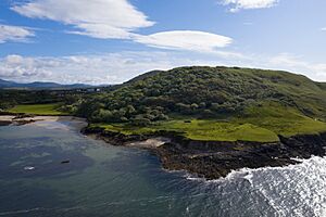 Old Head Wood Nature Reserve Co. Mayo 2nd view