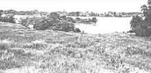 Palmer Site, Nebraska