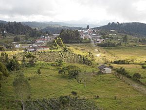 Sabanagrande, a village in Sucre municipality