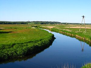 Podlaskie - Dobrzyniewo Duze - Biala river - bdg near Fasty - E