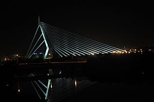 Ponte do Saber da UFRJ (Ponte estaiada do Rio de Janeiro) 2