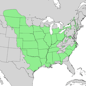 Populus deltoides range map 2.png