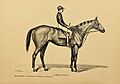 Preakness