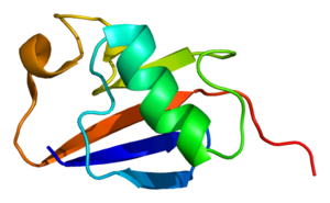 Protein PARK2 PDB 1iyf