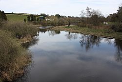 Quoile River, Downpatrick, April 2010 (01)