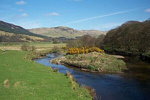 River at Clachan of Glendaruel - geograph.org.uk - 362759.jpg