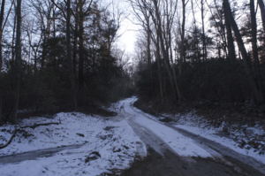 Road-to-chester-swamp