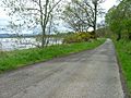 Road by Beauly Firth - geograph.org.uk - 171127