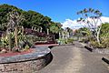 Royal Botanic Gardens Sydney Succulent Garden 2017