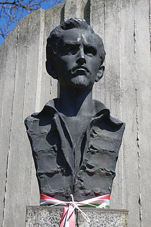Sándor Petőfi memorial in Tarnów 1