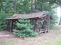Shade Swamp Shelter