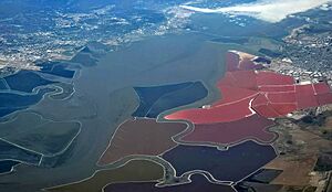 South San Francisco Bay salt ponds and wildlife refuges
