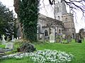 St Mary's Church, Bruton - geograph.org.uk - 666069