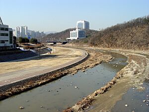 Tancheon - 07 - Looking north from Bundang's Seoul University Hospital