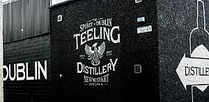 Teeling Distillery Dublin.jpg