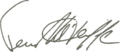 Terry McAuliffe signature