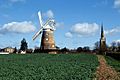 Thaxted Windmill and Church - geograph.org.uk - 158193