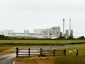 The Cheese Factory - geograph.org.uk - 193932