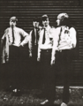 The Yardbirds promo 1966