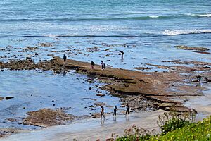 The reef at Swami's in Encinitas, California