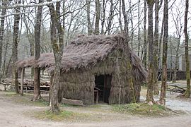 A reconstructed refuge hut in the forest of Grasla