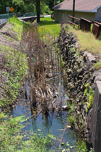 Warrior Creek looking upstream.jpg