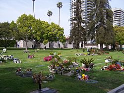 Westwood Village Memorial Park Cemetery view to northeast