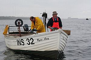"Long-lining" for mackerel off Hopeman - geograph.org.uk - 1410170