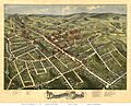 1875 Danbury picture map