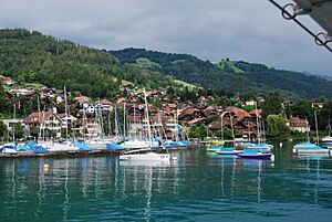 2011-07-23 Lago de Thun (Foto Dietrich Michael Weidmann) 387