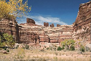 A130, Canyonlands National Park, Utah, USA, Chocolate Drops from the Maze, 2004